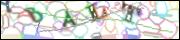 Защита от автоматических сообщений