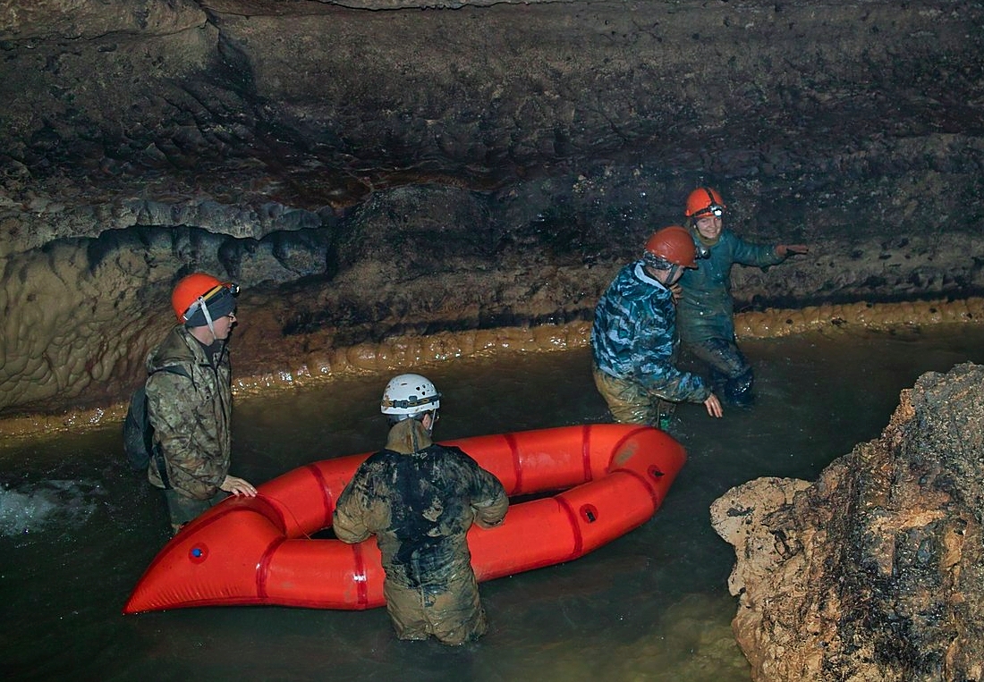 Иволга Стандартная
