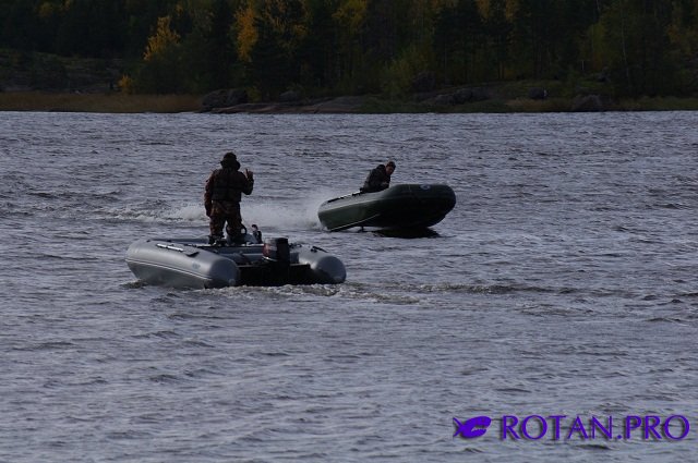 Ротан Р 380 К